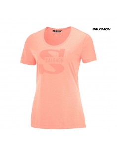 Salomon SS Tee W