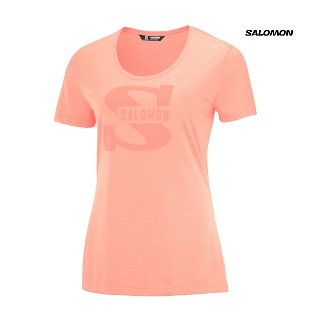 Salomon Salomon SS Tee W