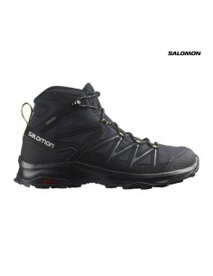 Daintree Mid Gtx M