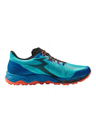 Asesor zapatillas running clearance mizuno