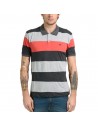 Polo Zebra