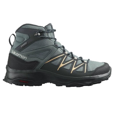 Salomon Daintree Mid Gore-Tex W
