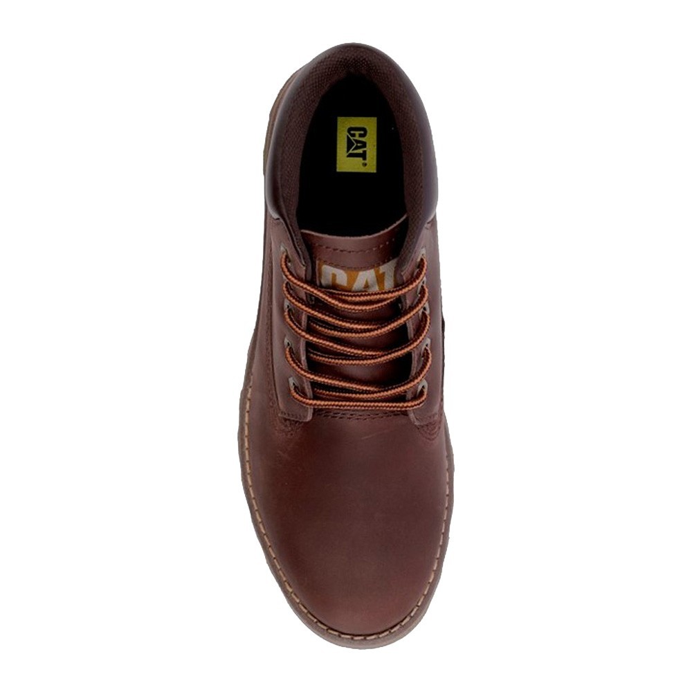 Caterpillar Founder · foto 4
