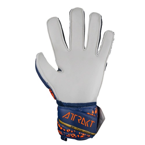 Reusch Attrakt Solid