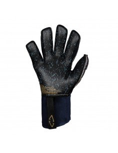 Reusch Attrakt Pro Fusion Advance 2