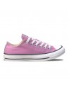 CT All Star Ox