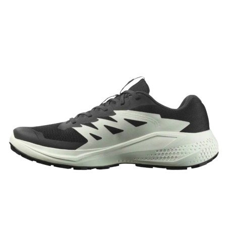 Salomon Alphaglide W 2