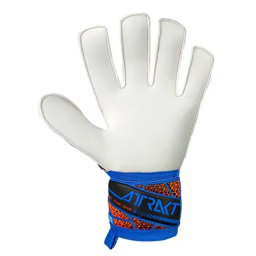 Reusch Attrakt Solid