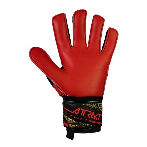 Reusch Attrakt Solid