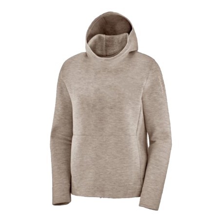 Salomon Logo LT Hoodie W