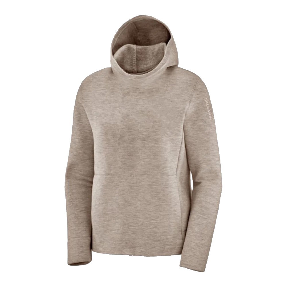 Salomon Logo LT Hoodie W
