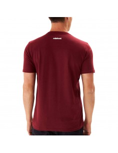 Remera University Harvard M/C 2