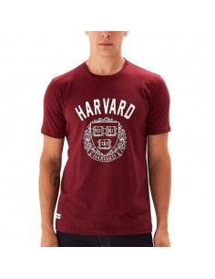Remera University Harvard M/C