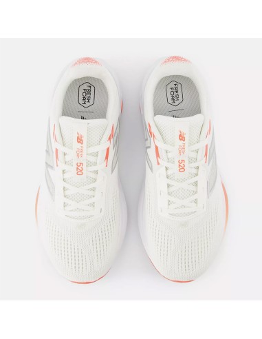 NB Fresh Foam 520 v9