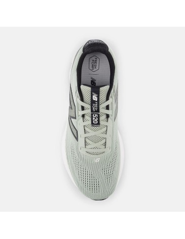NB Fresh Foam 520 v9
