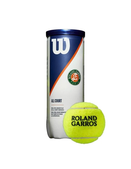 Wilson Roland Garros All Court 3B