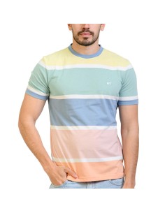 Remera Stripes MC