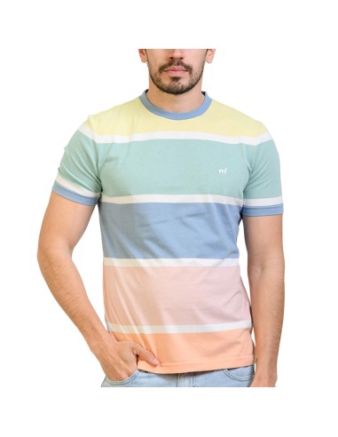 Remera Stripes MC