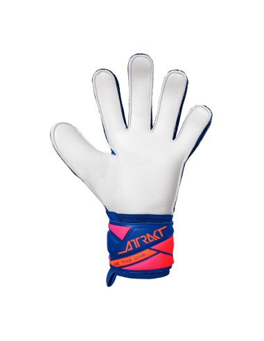 Reusch Attrakt Solid