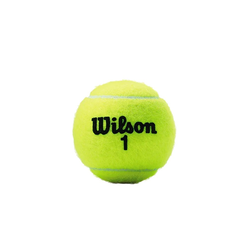 Wilson Tenis Championship Extra Duty · foto 3