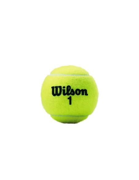 Wilson Tenis Championship Extra Duty · foto 3