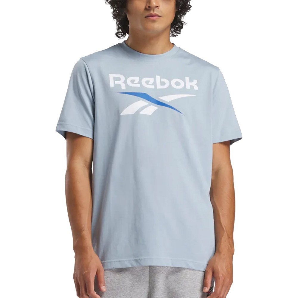 Reebok RBK Identity Big Logo Tee