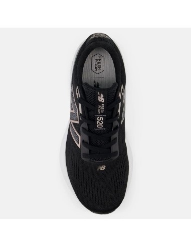 NB Fresh Foam 520 v9