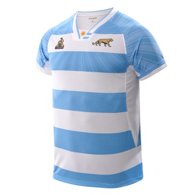 Pumas Home Fan 2026
