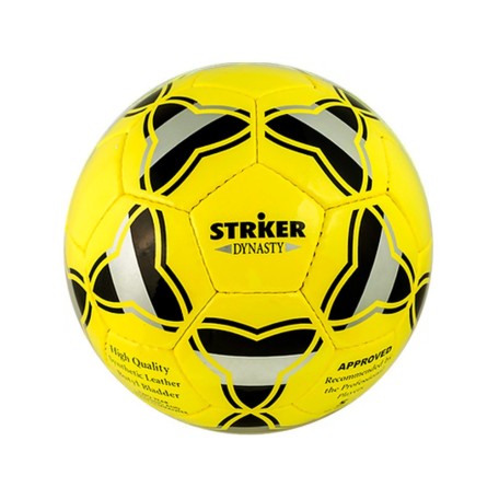 Striker Dinasty