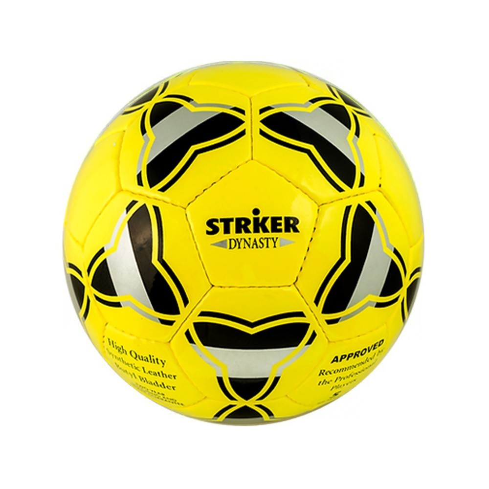 Striker Dinasty