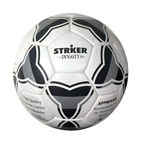 Striker Dinasty