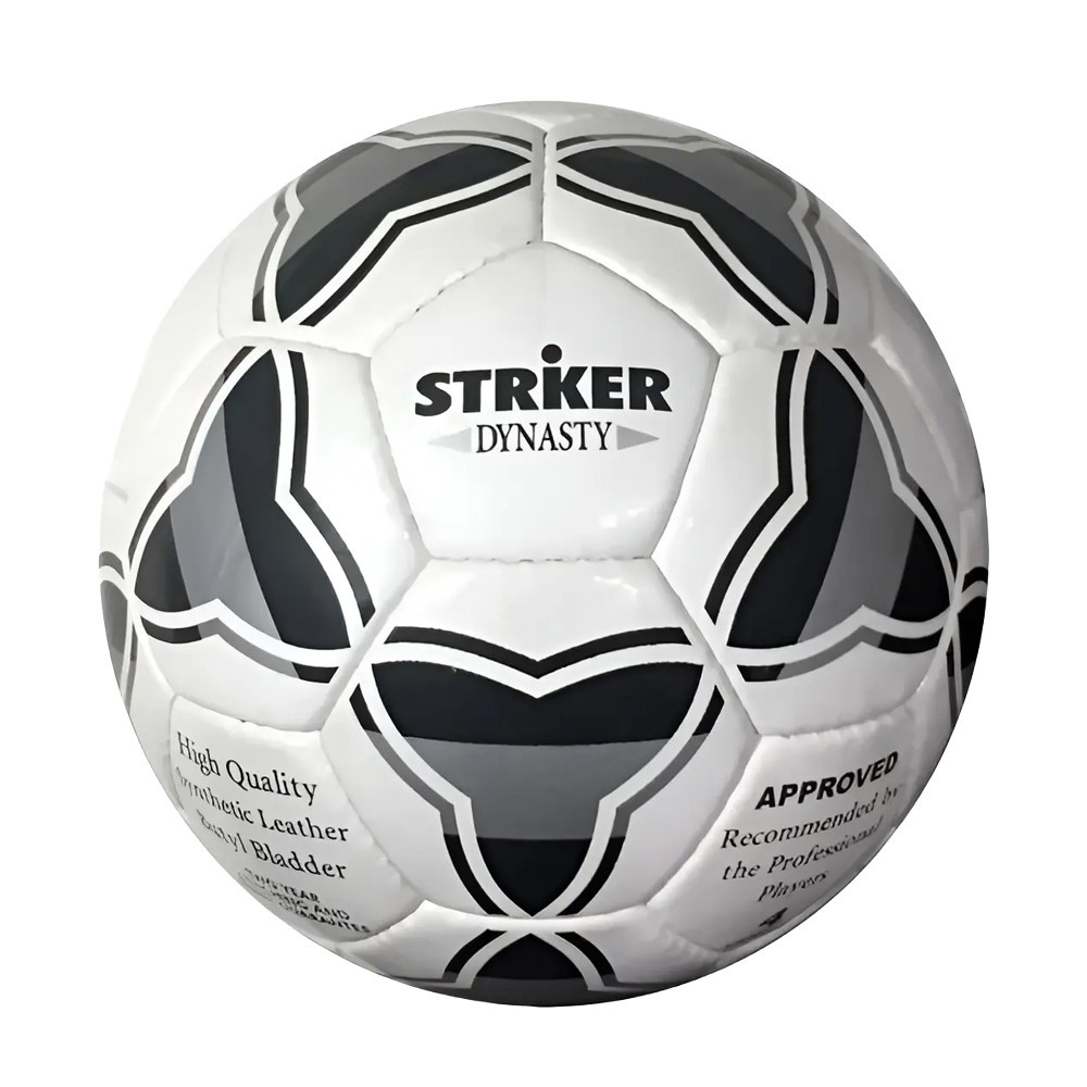 Striker Dinasty