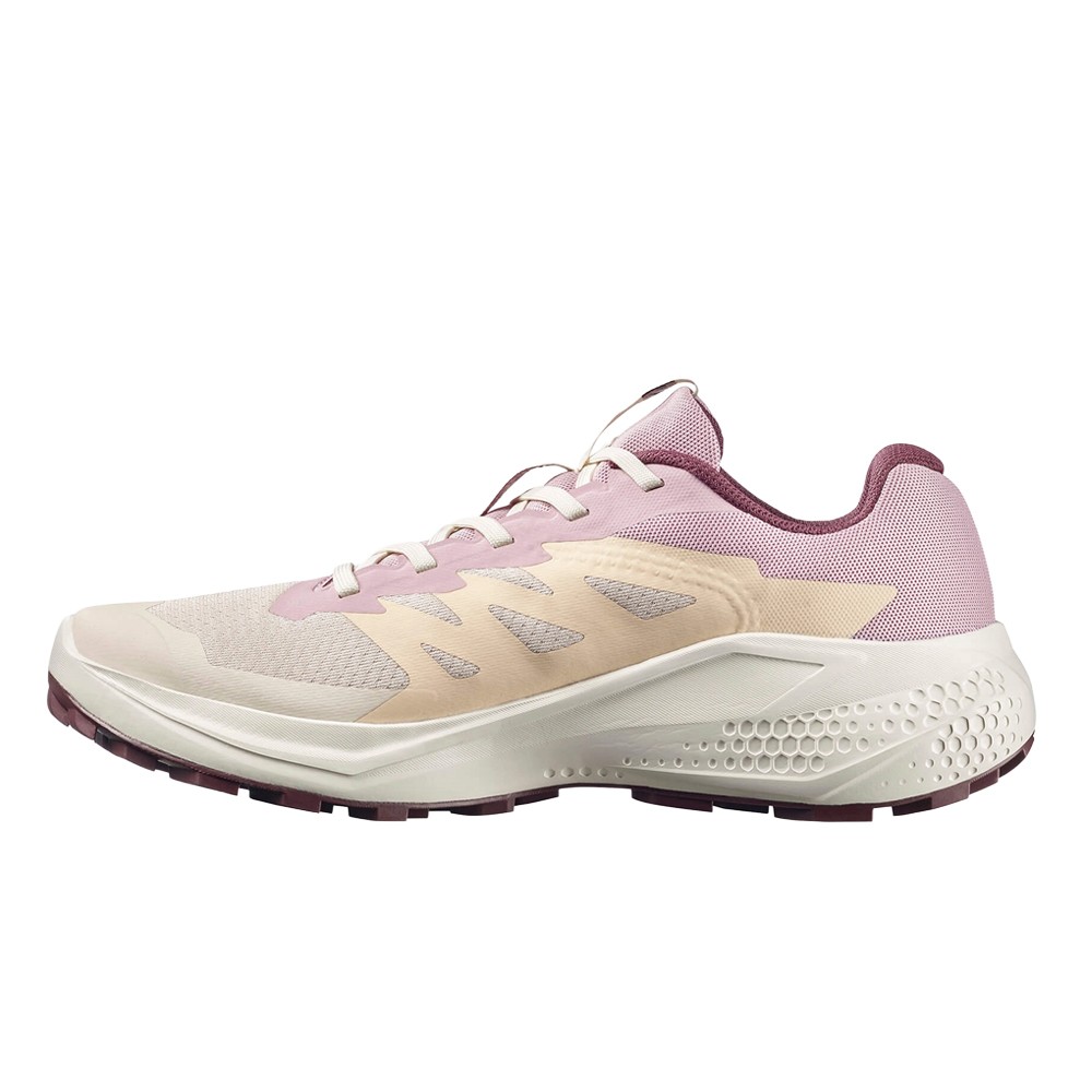 Salomon Alphaglide W · foto 2