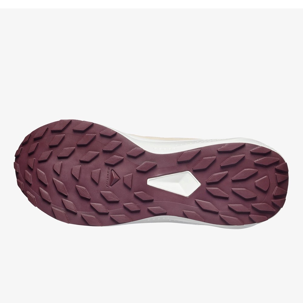 Salomon Alphaglide W · foto 3