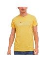 Remera Dyed MC