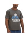 Remera Boxy Estampada MC