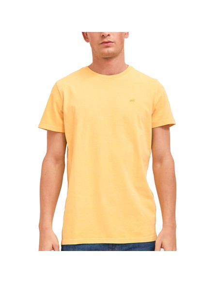 Remera Logo Dyed MC | Capaccioni Deportes