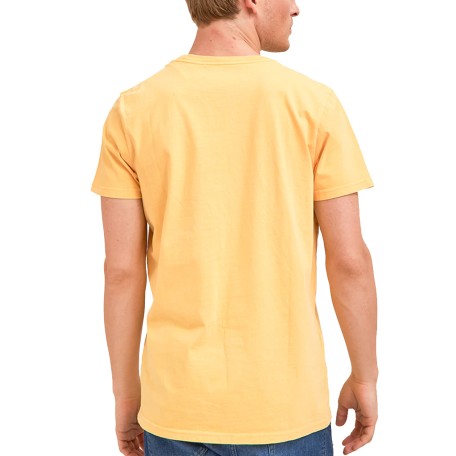 Remera Logo Dyed MC | Capaccioni Deportes 2