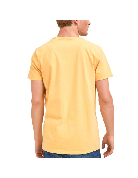 Remera Logo Dyed MC | Capaccioni Deportes
