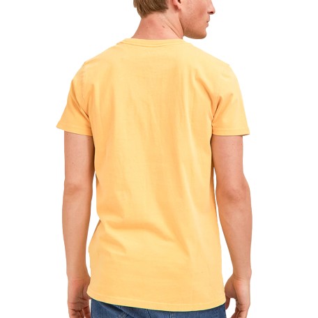 Remera Dyed MC 2