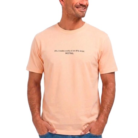 Remera Print MC
