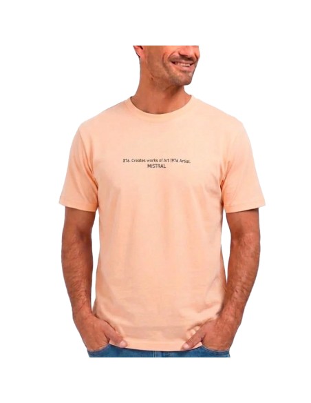Remera Print MC