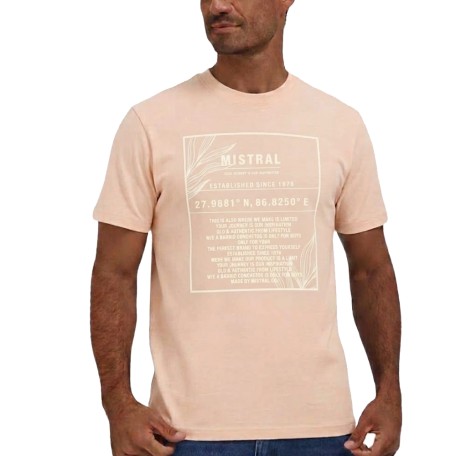 Remera Print MC