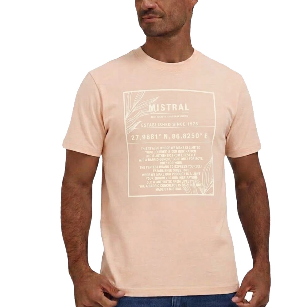 Remera Print MC
